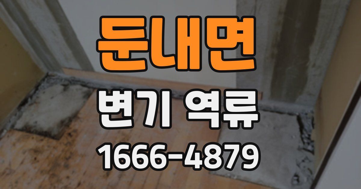 둔내면 변기 역류