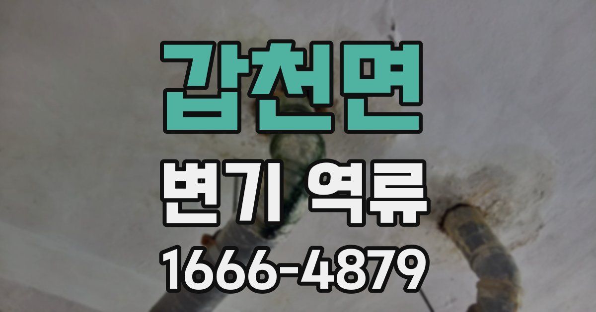 갑천면 변기 역류