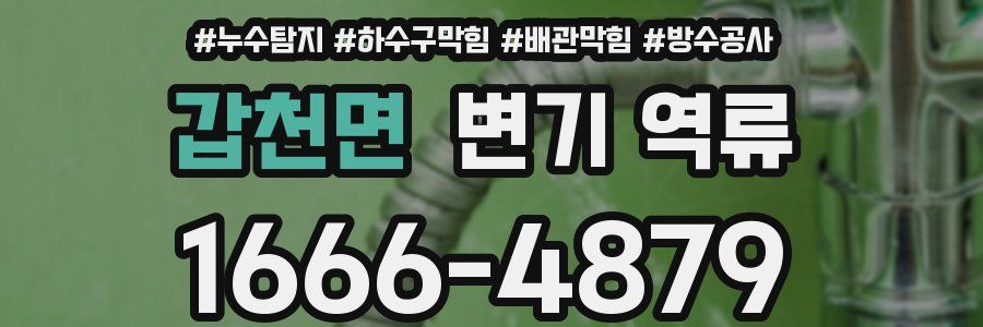 갑천면 변기 역류