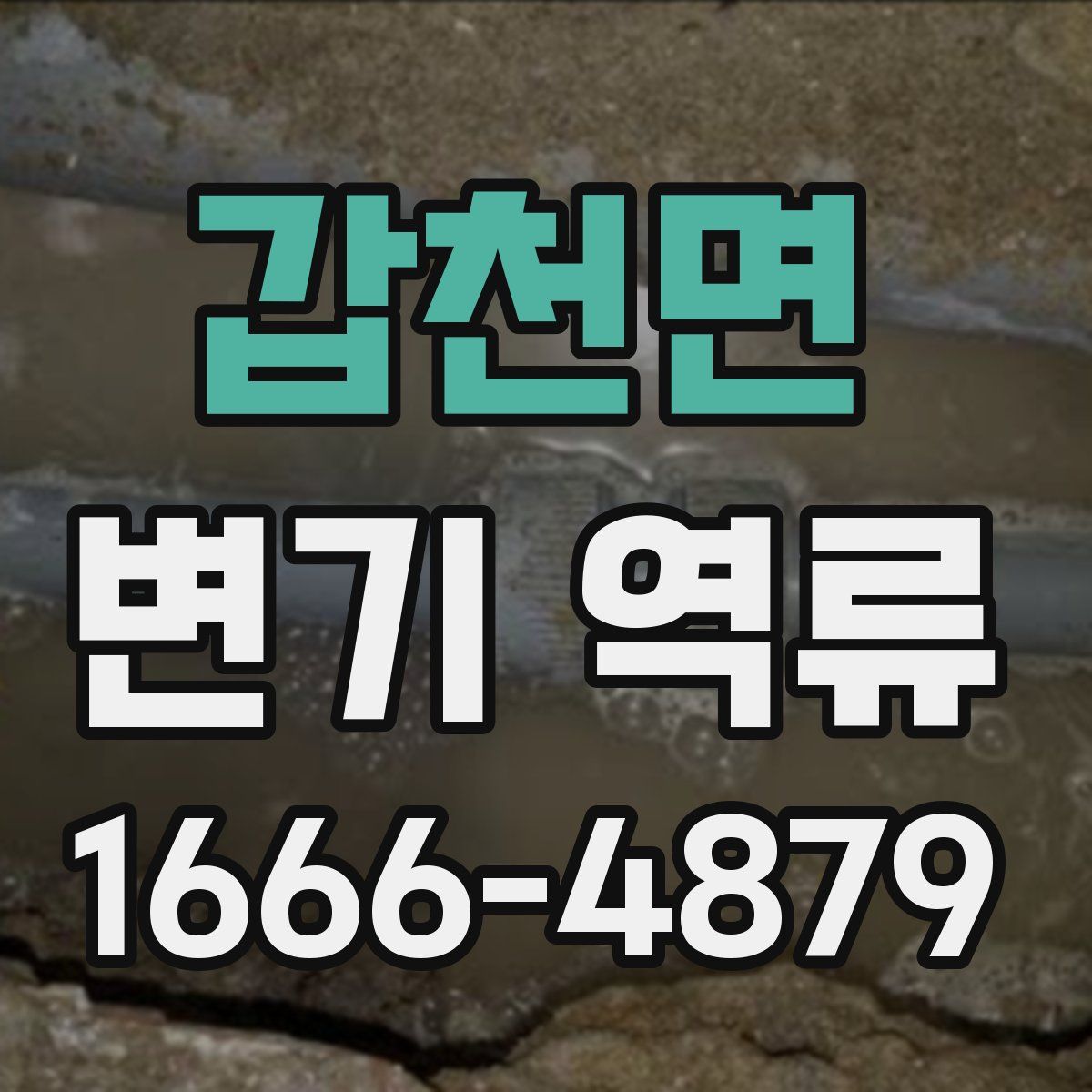 갑천면 변기 역류