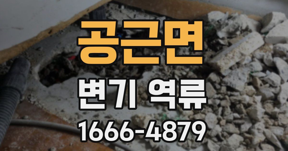 공근면 변기 역류