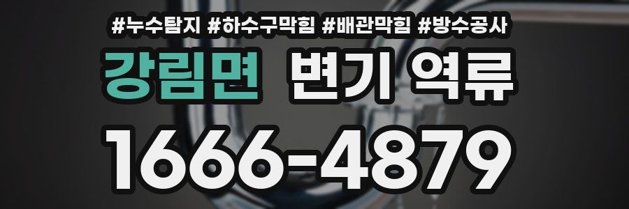 강림면 변기 역류