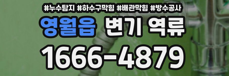 영월읍 변기 역류