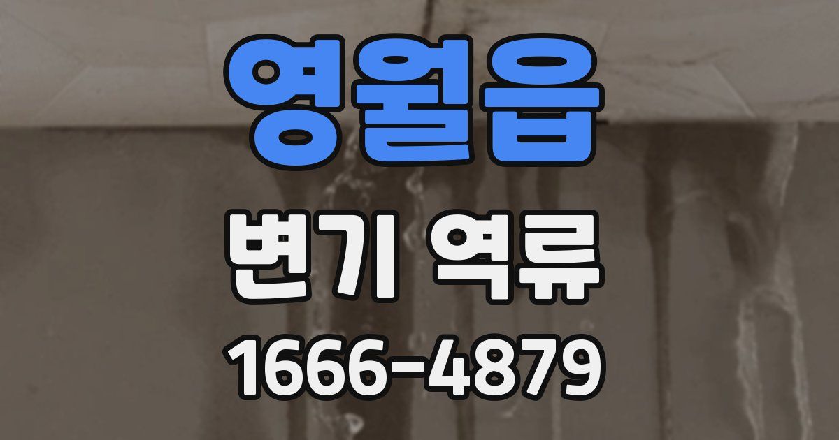 영월읍 변기 역류