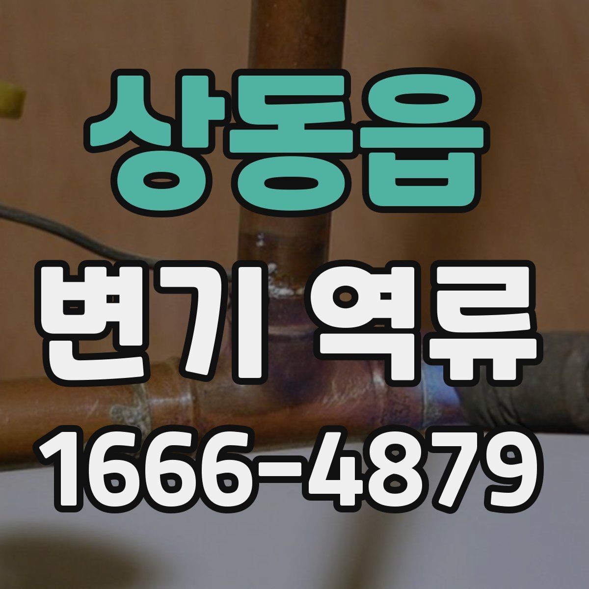 상동읍 변기 역류 배관 점검이 필요한 신호