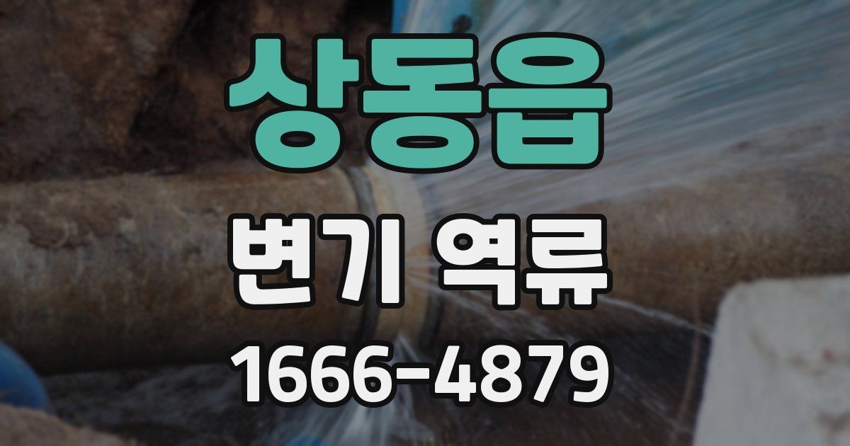 상동읍 변기 역류