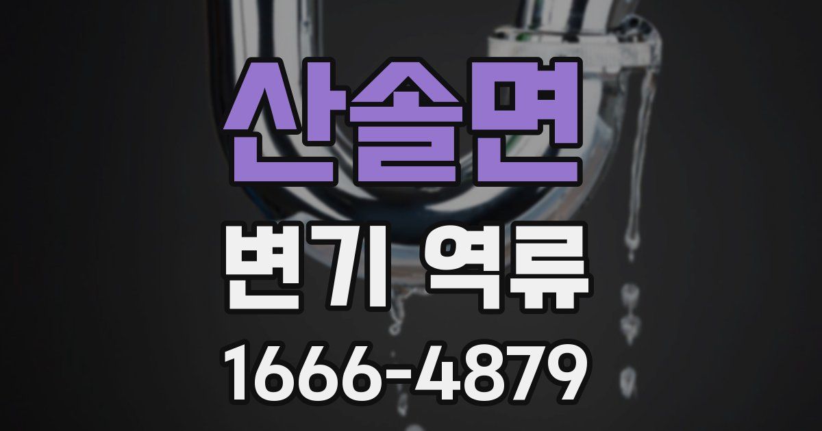 산솔면 변기 역류