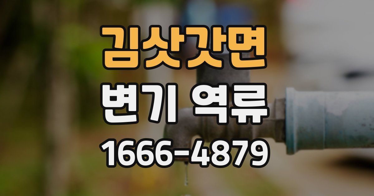 김삿갓면 변기 역류