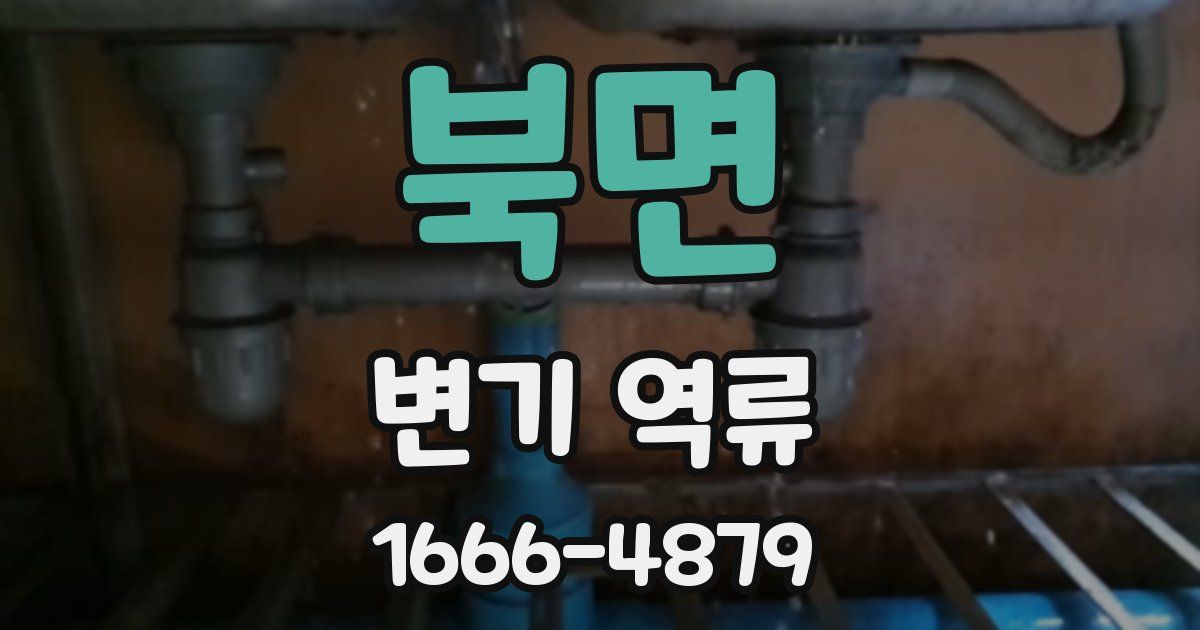 북면 변기 역류