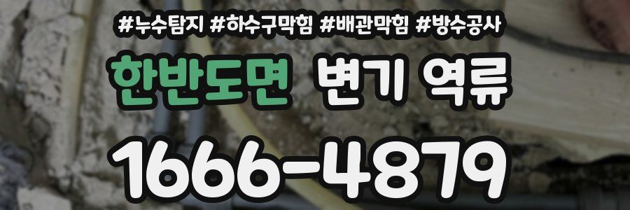 한반도면 변기 역류