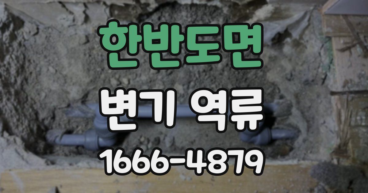 한반도면 변기 역류