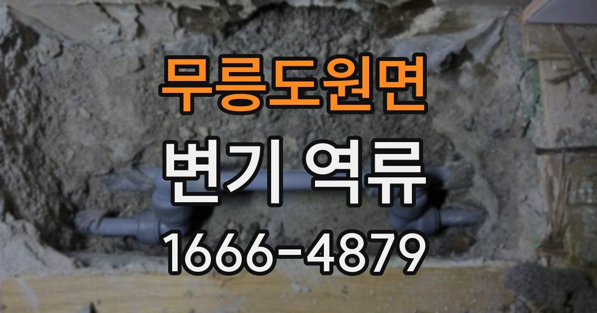 무릉도원면 변기 역류