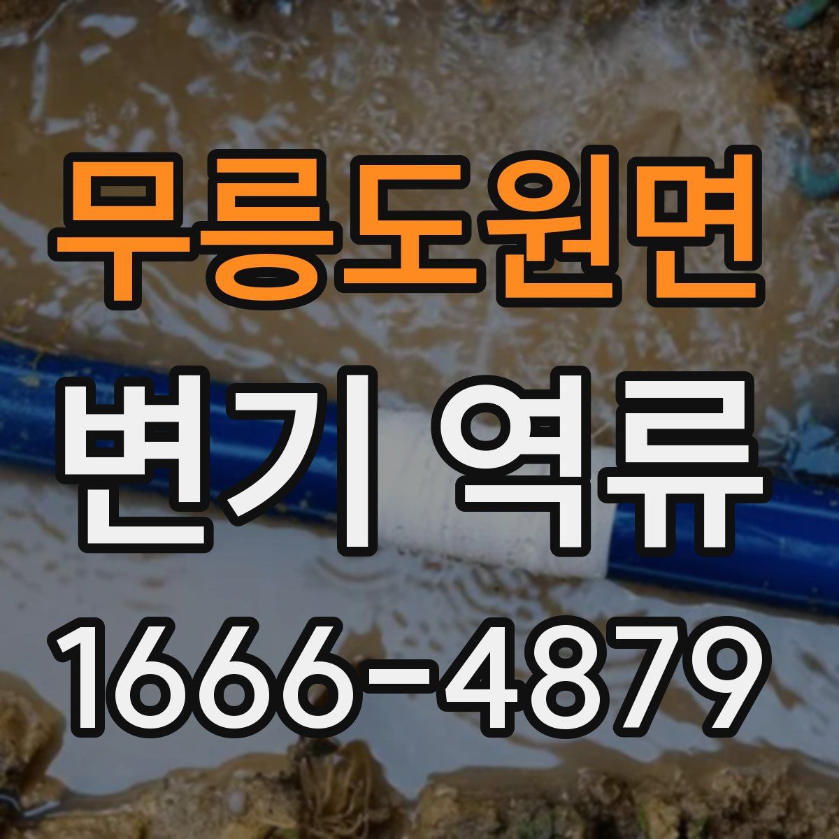 무릉도원면 변기 역류