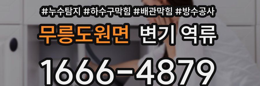 무릉도원면 변기 역류