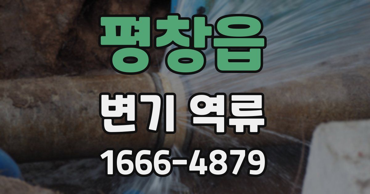 평창읍 변기 역류