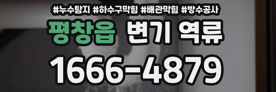 평창읍 변기 역류