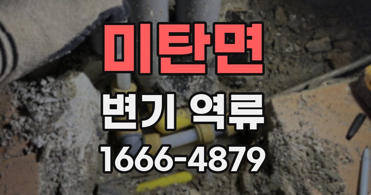 미탄면 변기 역류