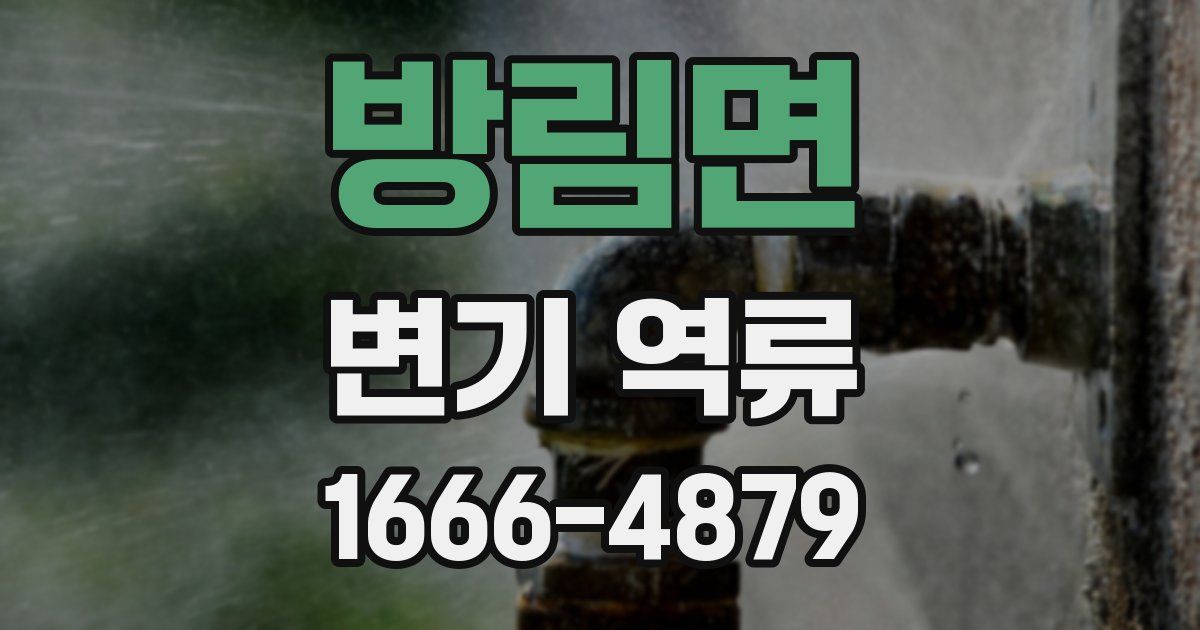 방림면 변기 역류
