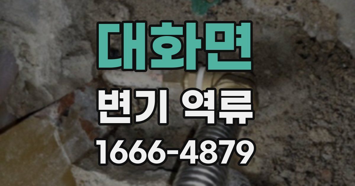 대화면 변기 역류