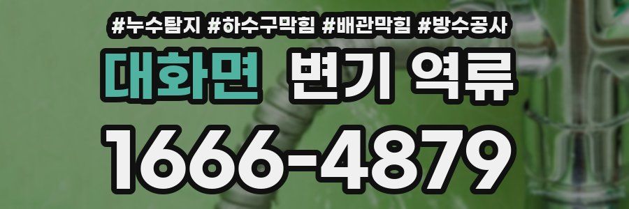 대화면 변기 역류