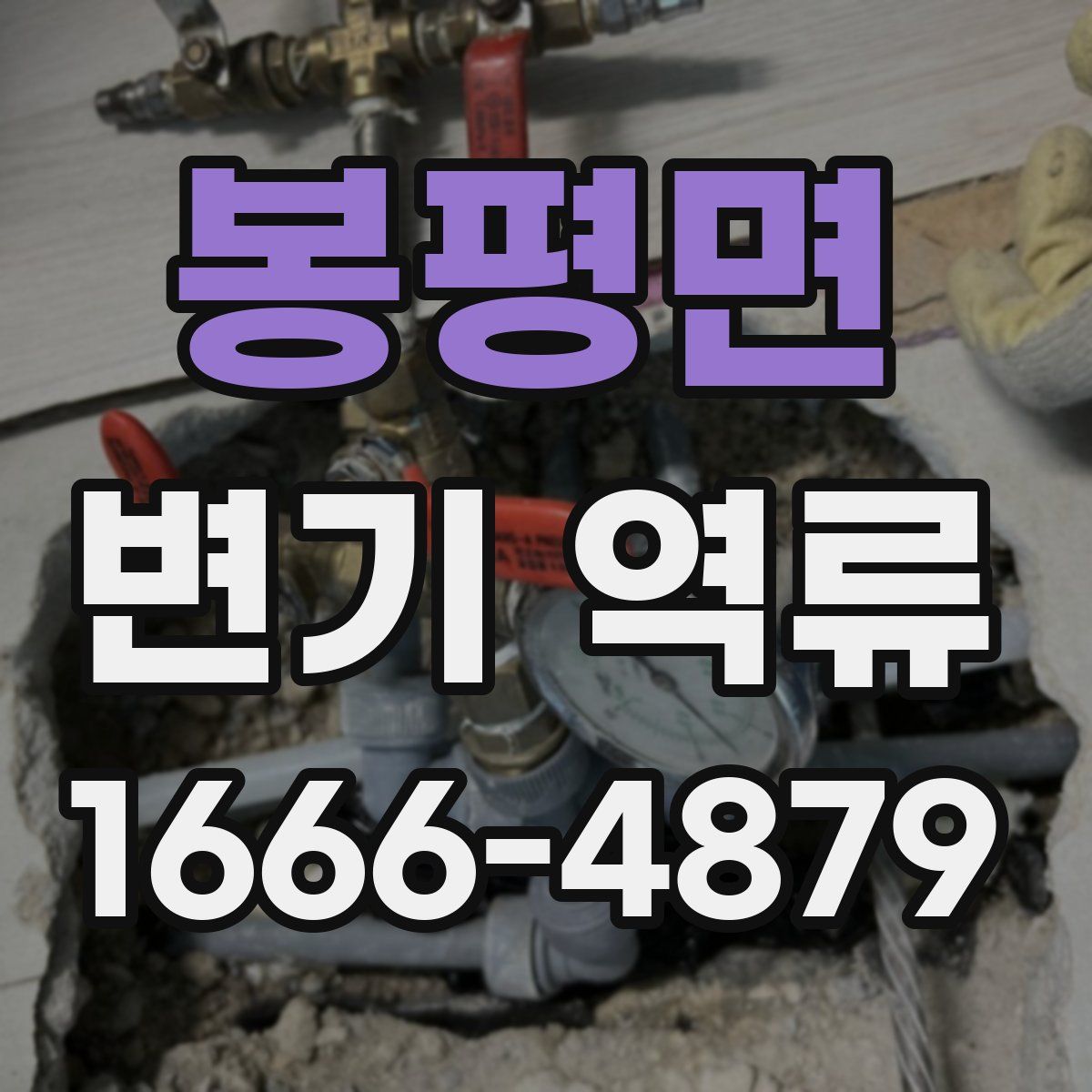 봉평면 변기 역류