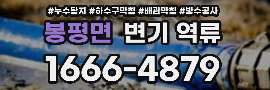 봉평면 변기 역류