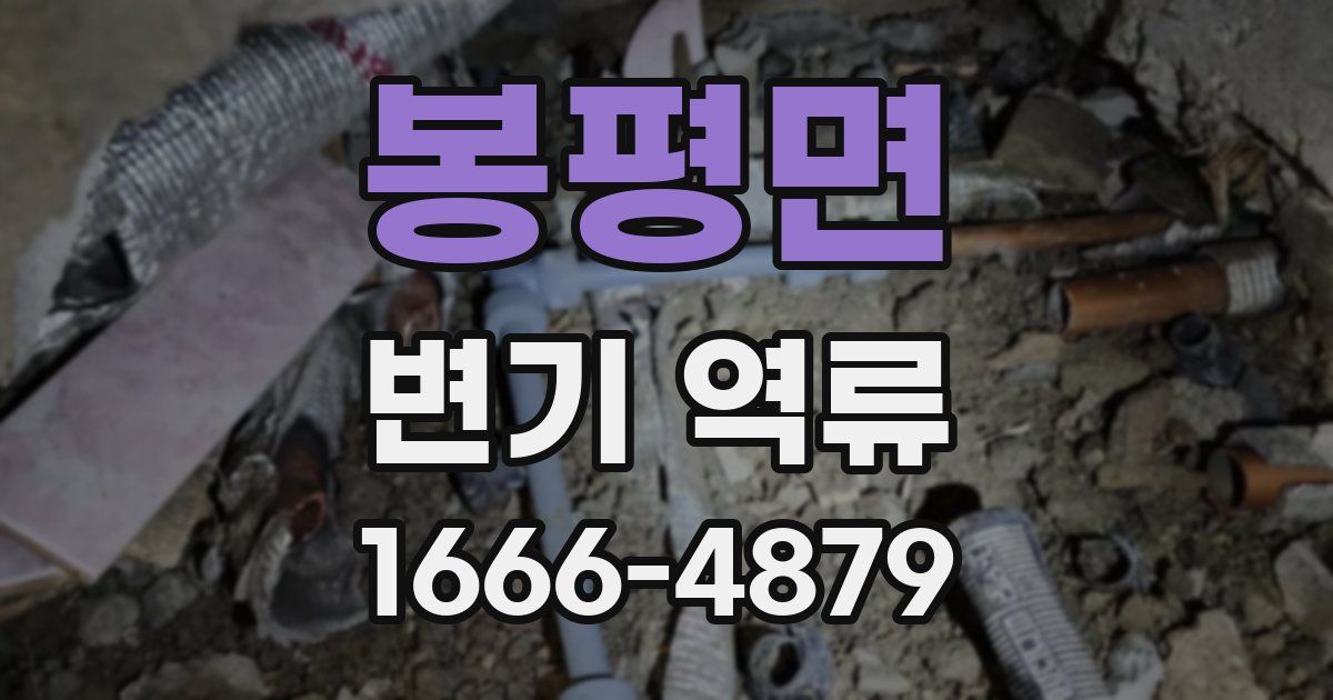 봉평면 변기 역류