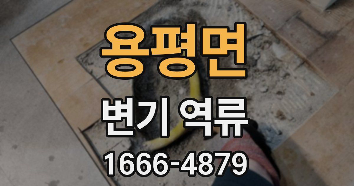 용평면 변기 역류