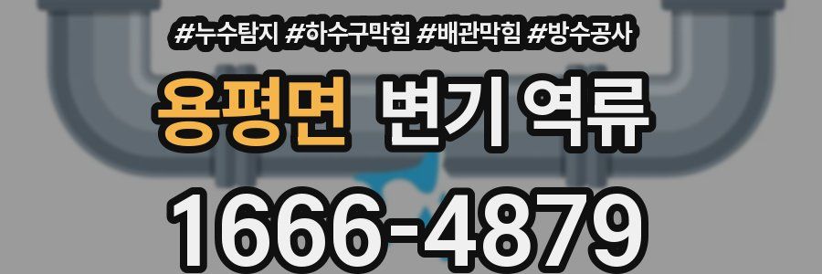용평면 변기 역류