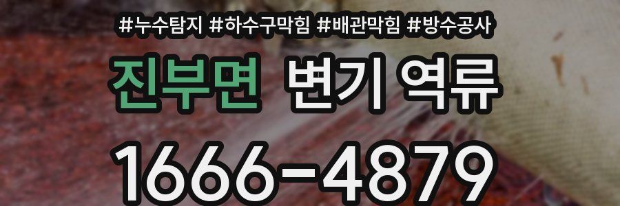 진부면 변기 역류