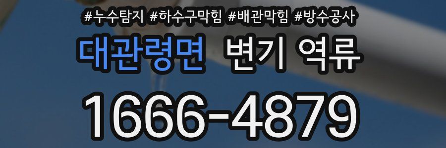 대관령면 변기 역류