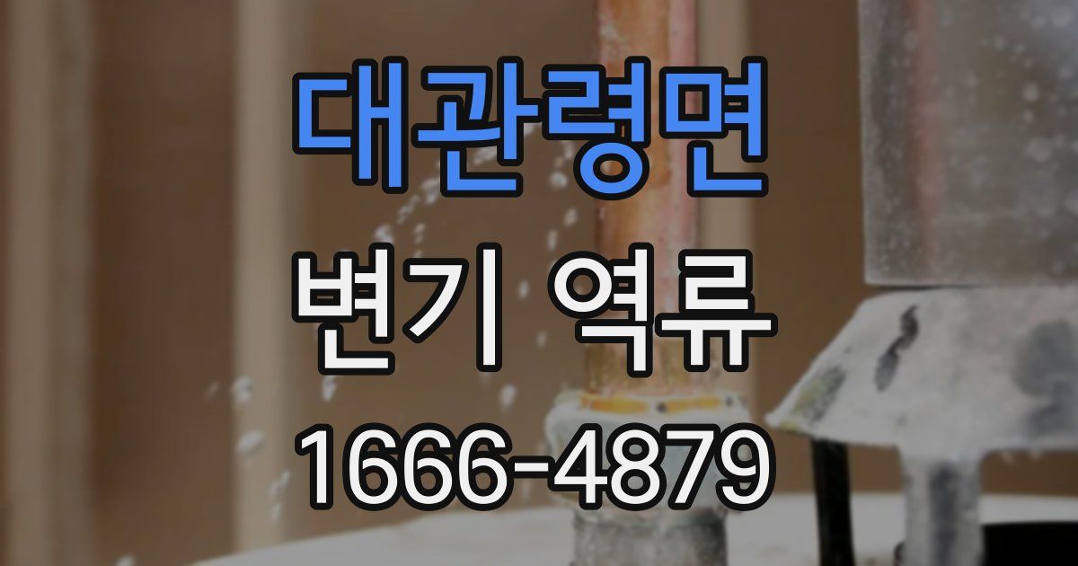 대관령면 변기 역류
