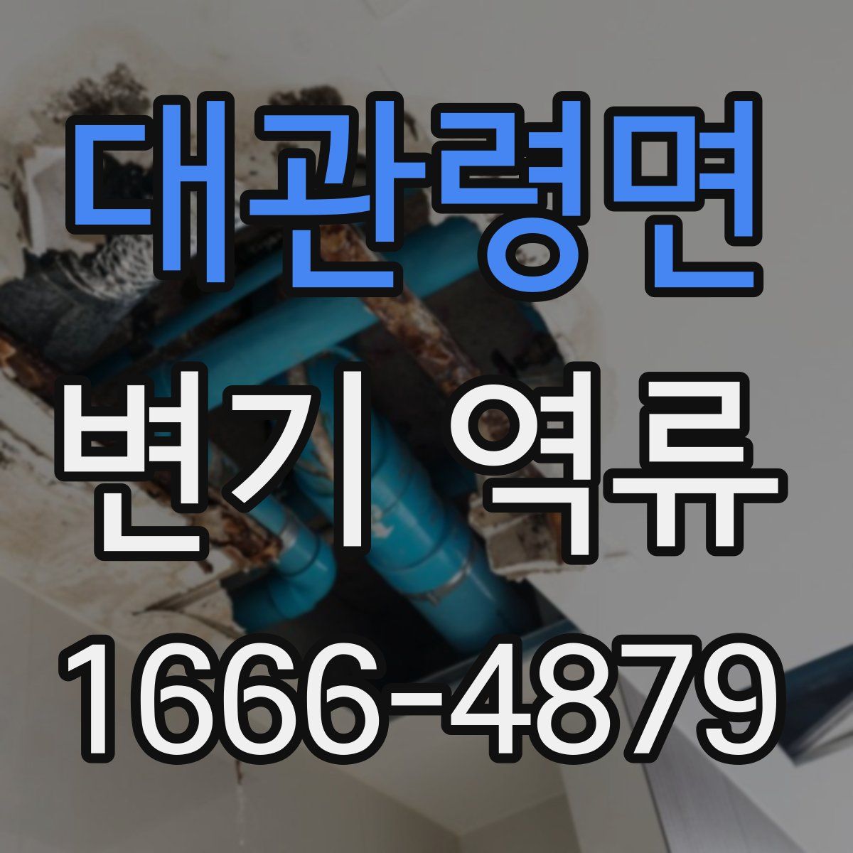 대관령면 변기 역류