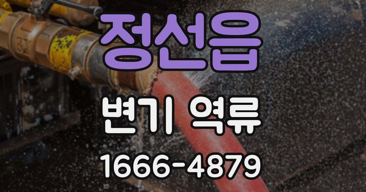 정선읍 변기 역류