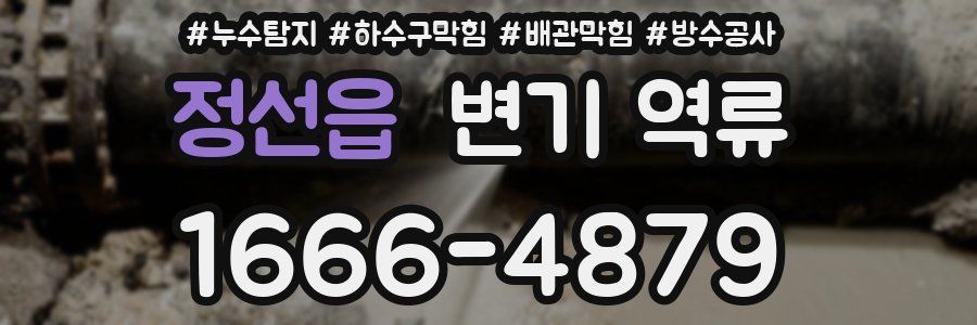 정선읍 변기 역류