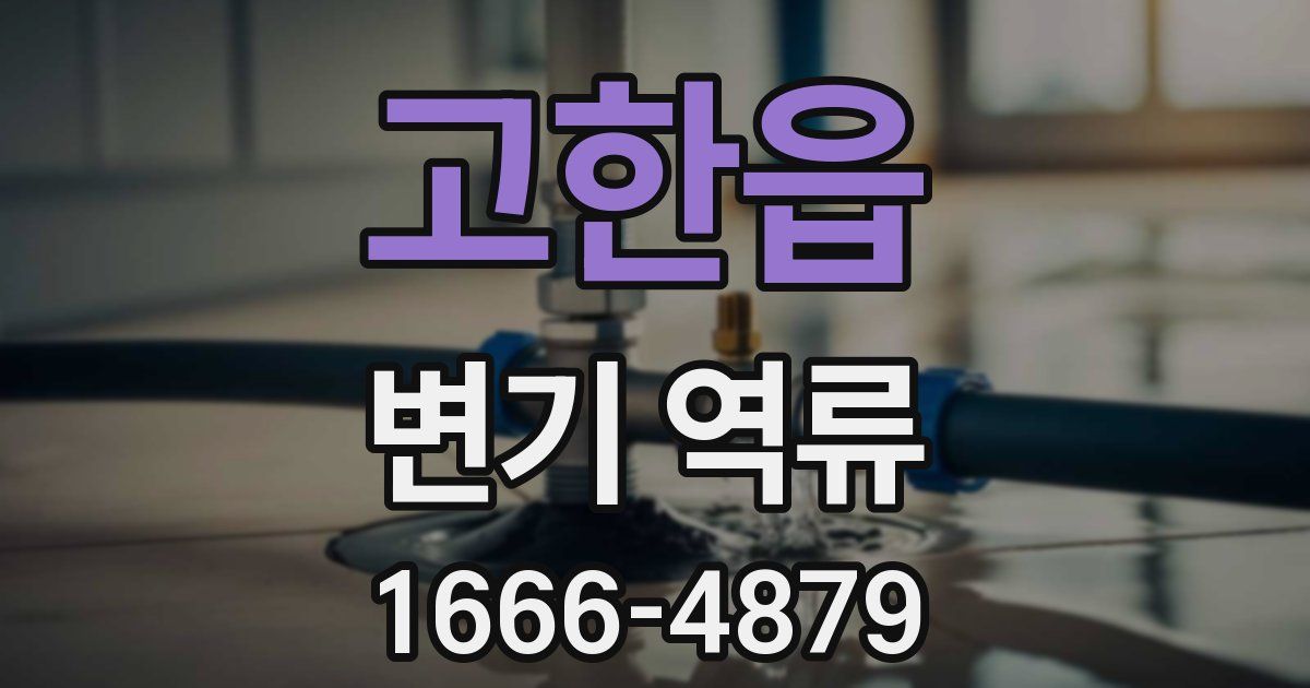 고한읍 변기 역류