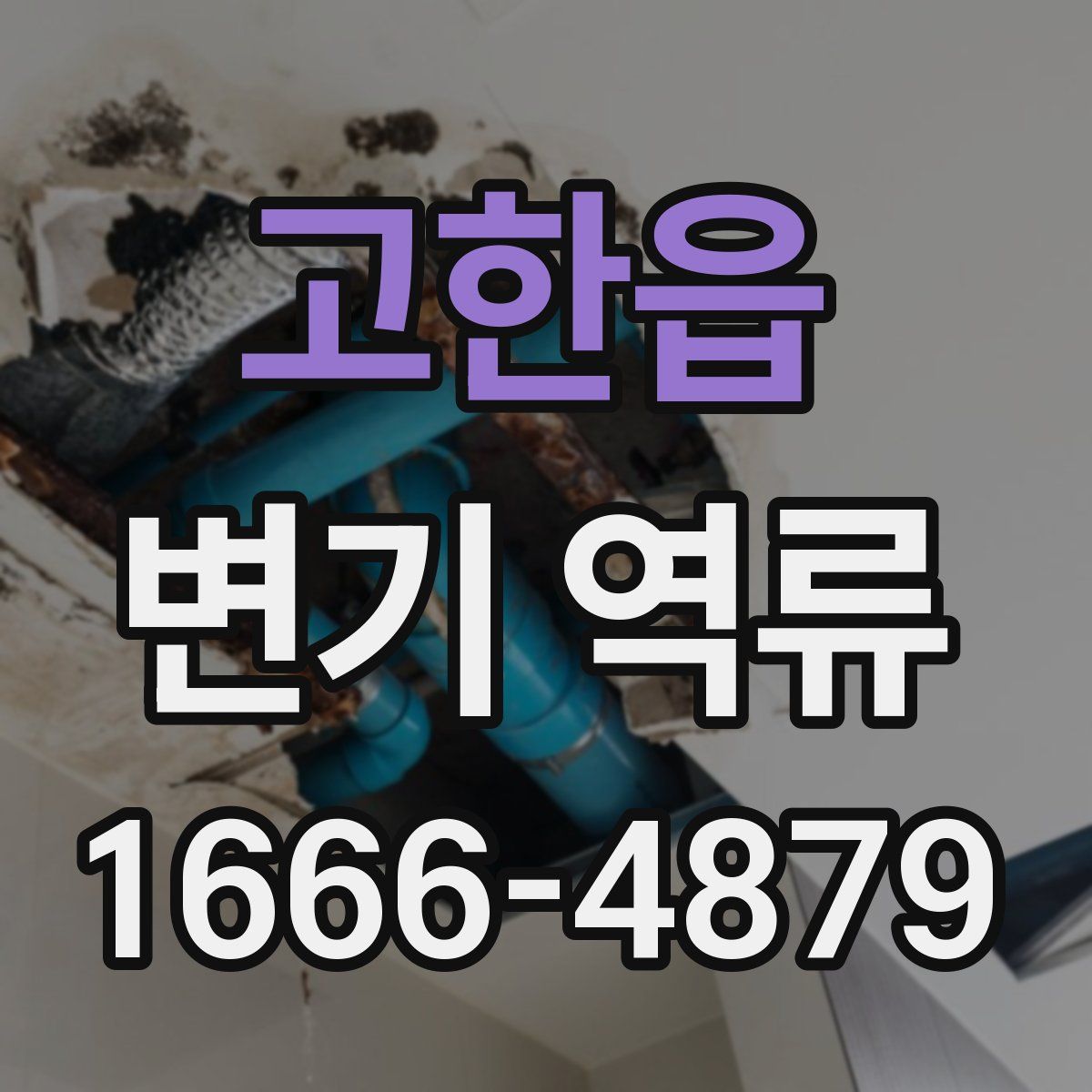 고한읍 변기 역류