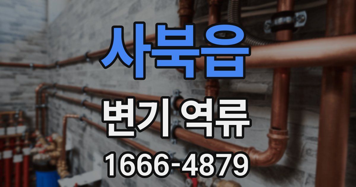 사북읍 변기 역류