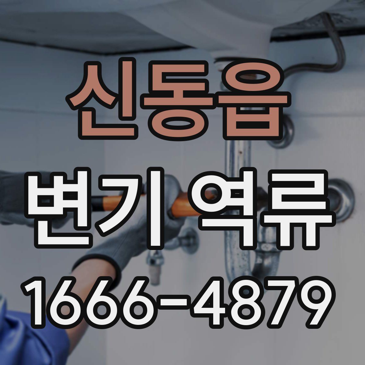 신동읍 변기 역류