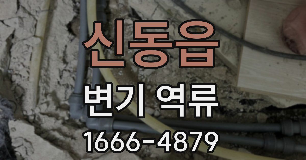 신동읍 변기 역류