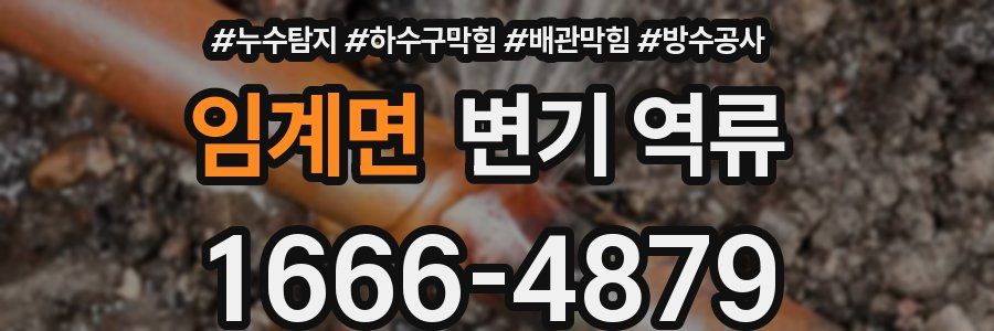 임계면 변기 역류