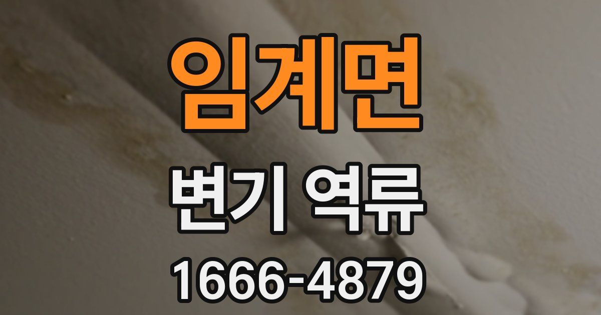 임계면 변기 역류
