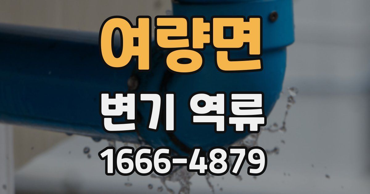 여량면 변기 역류