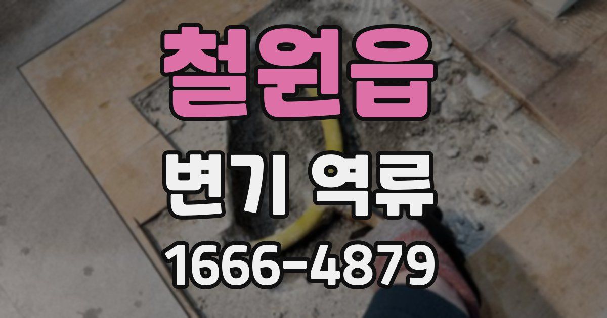 철원읍 변기 역류