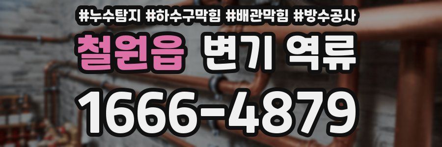 철원읍 변기 역류