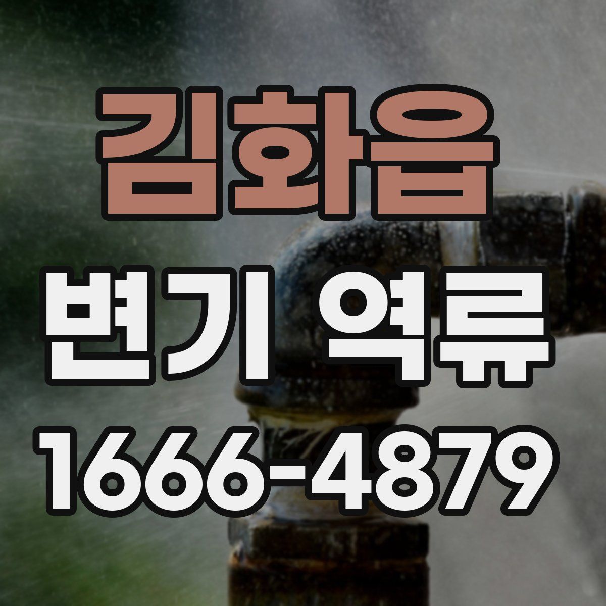 김화읍 변기 역류