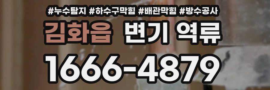 김화읍 변기 역류