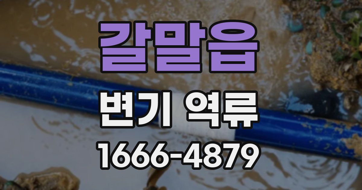 갈말읍 변기 역류