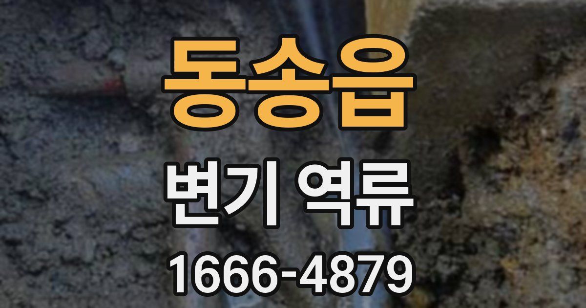 동송읍 변기 역류