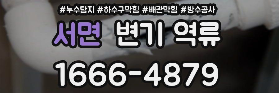 서면 변기 역류